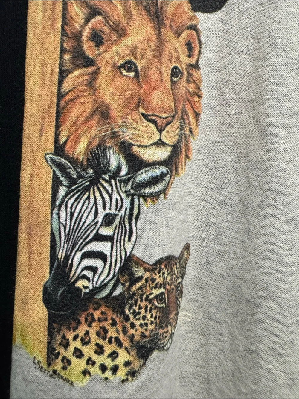 Kittens comfortable women’s